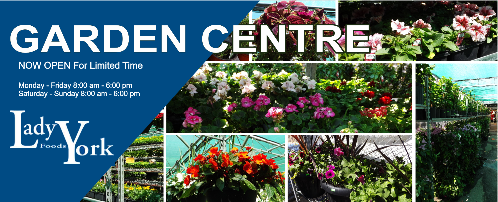 GardenCentreOpen3